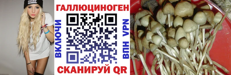 Галлюциногенные грибы Psilocybe  Иваново 